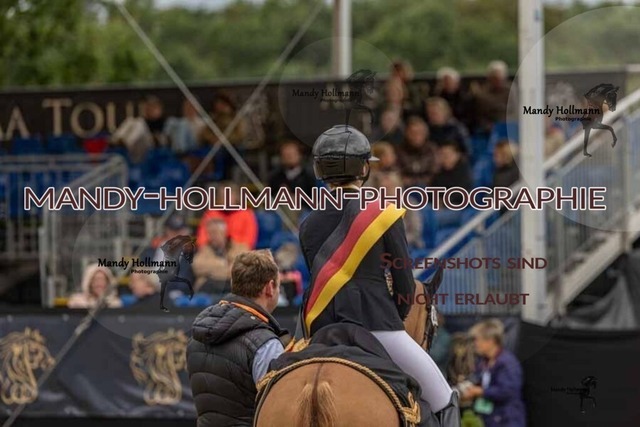 30-8-26 4j Hengste-442 | mandyhollmannphotographie