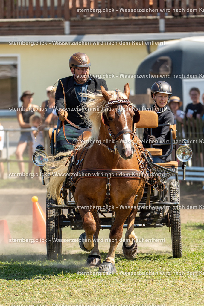 2026-08-09_12-14-23_WBO_Pulsnitz | sternberg.click - Realisiert mit Pictrs.com