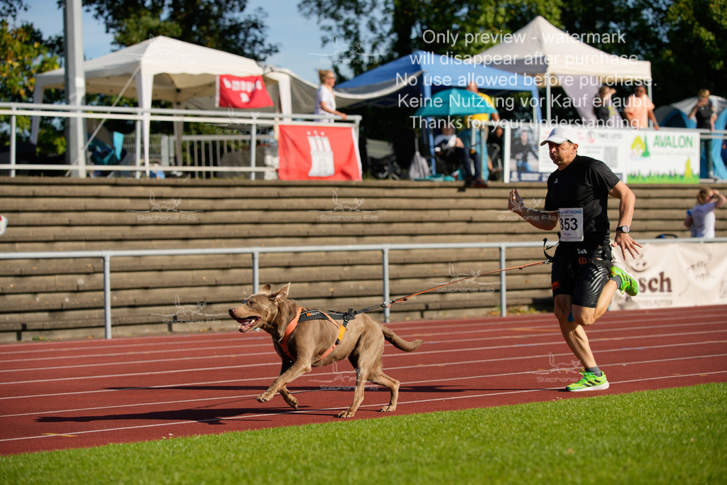 Sonntag_Staffel (334 von 336) | stephaniefillaphotographie - Realisiert mit Pictrs.com