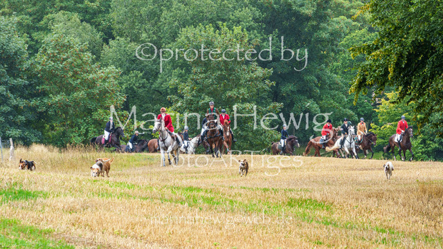 Jagd Kletkamp 26-02849_MarinaHewig | Fotografie, FotoArt, PferdesportArt, Pferdesportfotografie, Landschaftsfotografie, Reisefotografie, Reise, Pferde - Realisiert mit Pictrs.com