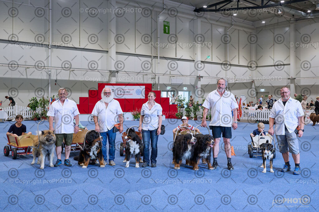 202406_ÖKV-IHA-Tulln24_NZ9_9407 | proPHOTO - Realisiert mit Pictrs.com