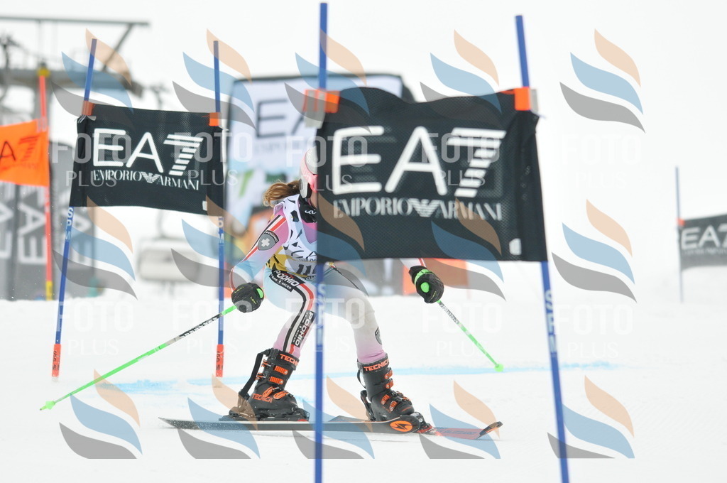 DSC_8129 | holidayphoto