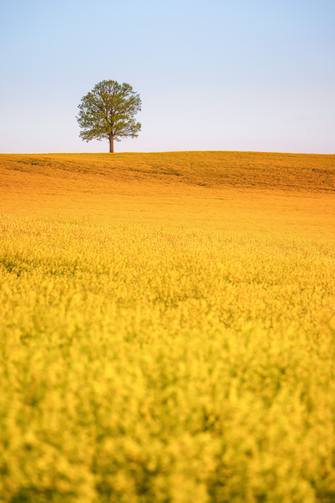 Deutschland Niederwiesa 02 | christophschaarschmidt - Realisiert mit Pictrs.com
