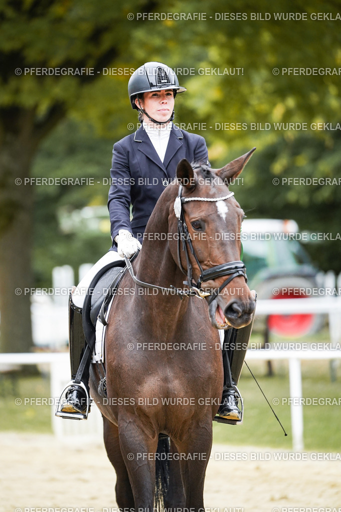 DSC02436 | Pferdegrafie