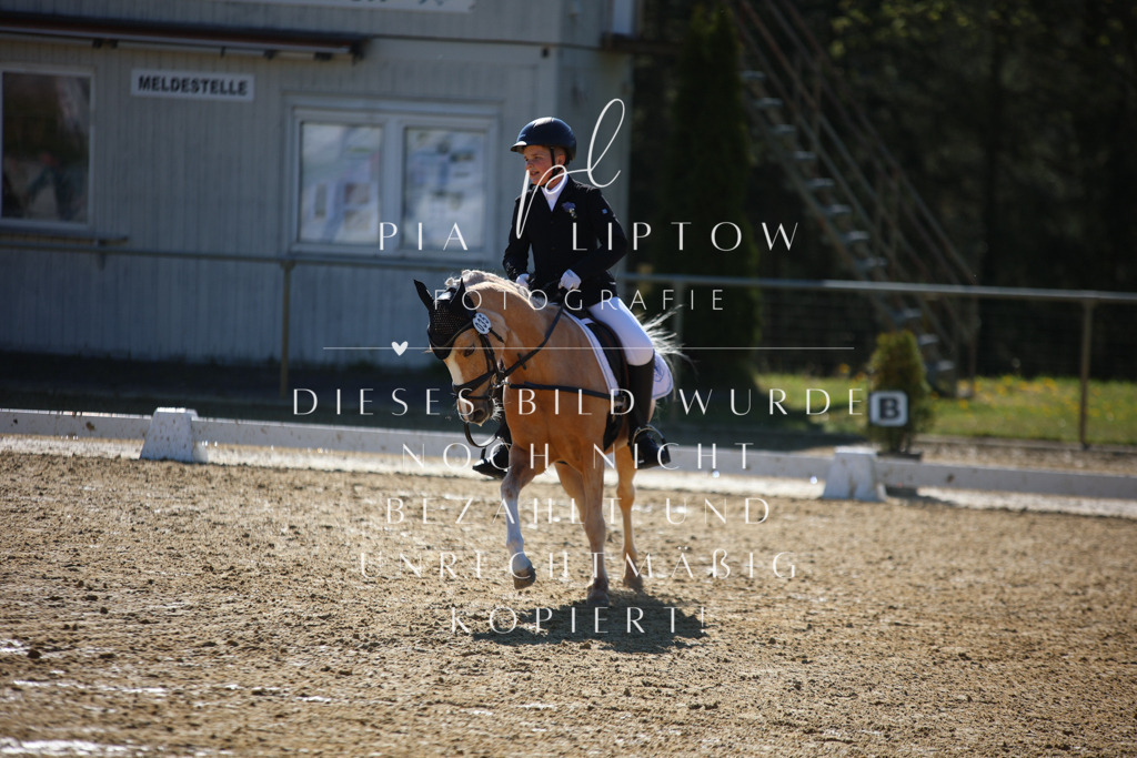 IMGT9870 | pl-fotografie