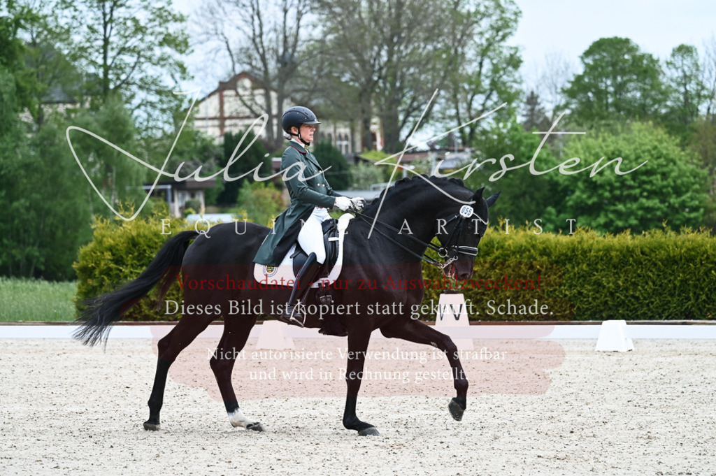 20230513_JK-Röhrsdorf-12-004 | Pferde- und Turnierfotografie in Westsachsen. Pferdeportraits, Auftragszeichnungen und intuitive Kunst.
