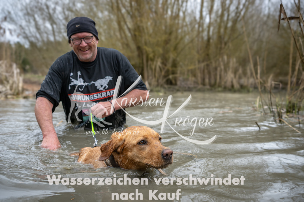 1441_ZZ90277 | kk-dogfotos