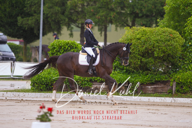 DKP40534 | Turniersportfotografie; Pferdefotografie; Dressurfotografie