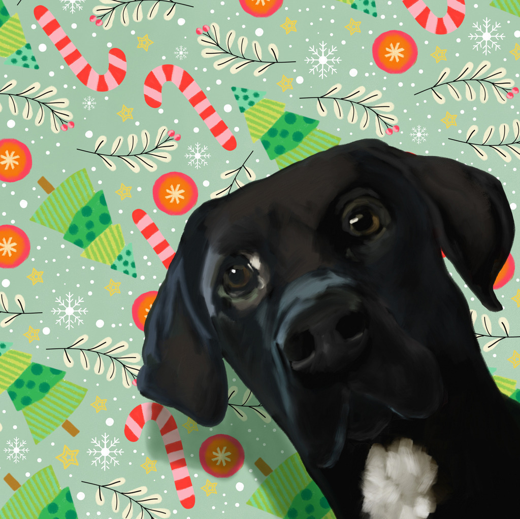 Labrador | Illustrationen, digitalpainting, animals, dogs, hunde, art, Kunst, Illustrationsart, Bielefeld, Germany - Realisiert mit Pictrs.com