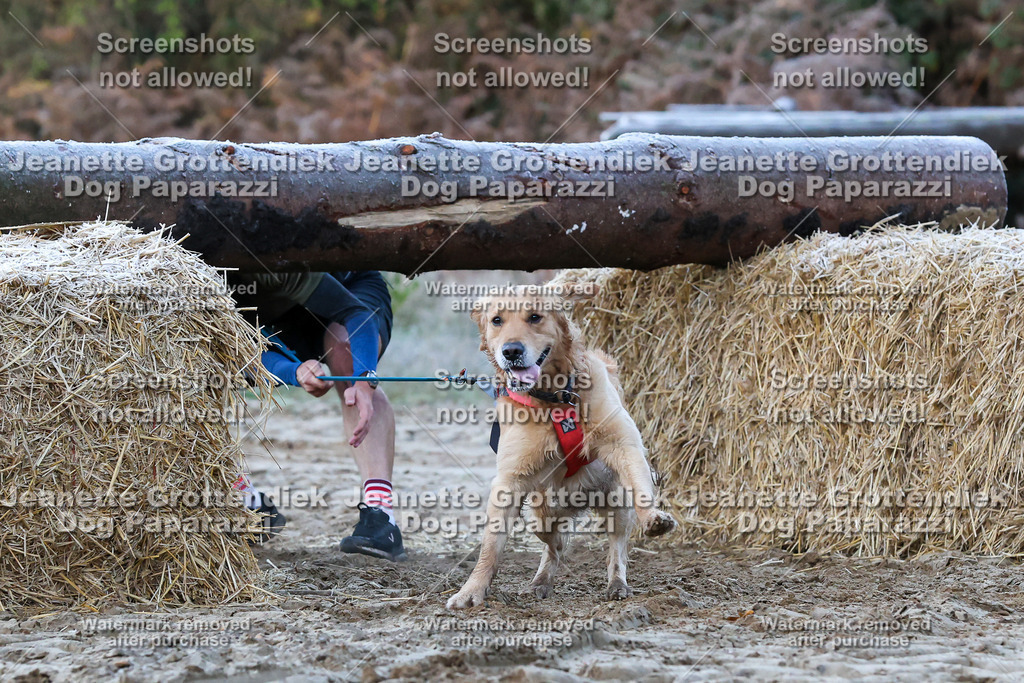 Dog Paparazzi - Strongdog 10-25-158 | Dog Paparazzi Jeanette Grottendiek Fotografie & Videografie - Realisiert mit Pictrs.com