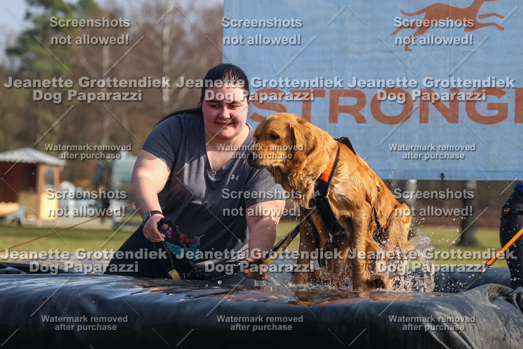 Dog Paparazzi - Strongdog North Mrz26-1919 | Dog Paparazzi Jeanette Grottendiek Fotografie & Videografie - Realisiert mit Pictrs.com