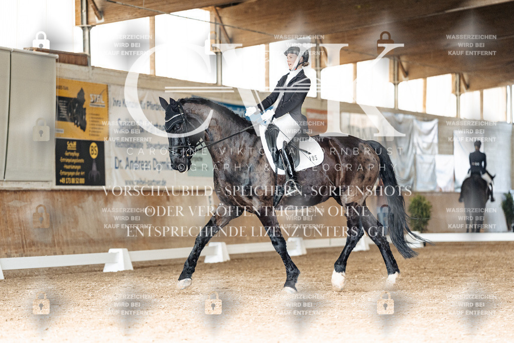 CK902135 | Turnierfotografie Pferdefotografie Trier Rheinland-Pfalz Pferdesport Reitsport Tierfotografie Sportfotografie Pferdevideo Pferdevideografie Equestrianvideography equestrianphotography  - Realisiert mit Pictrs.com