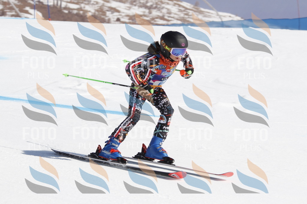 _U3G9700 | holidayphoto