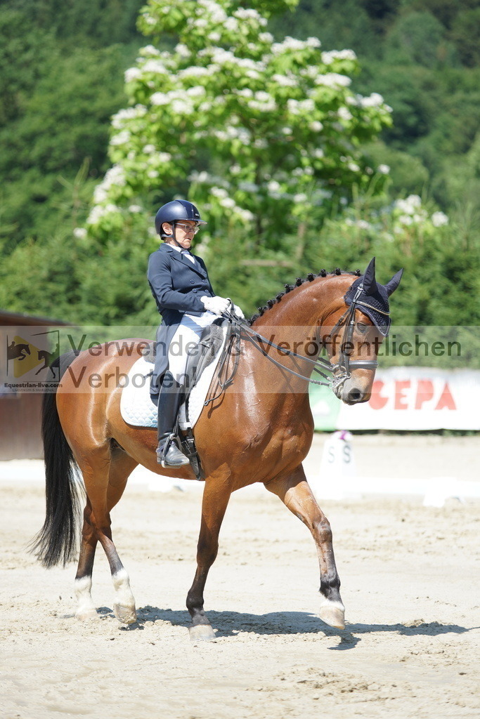 DSC03194 | equestrian-live-com