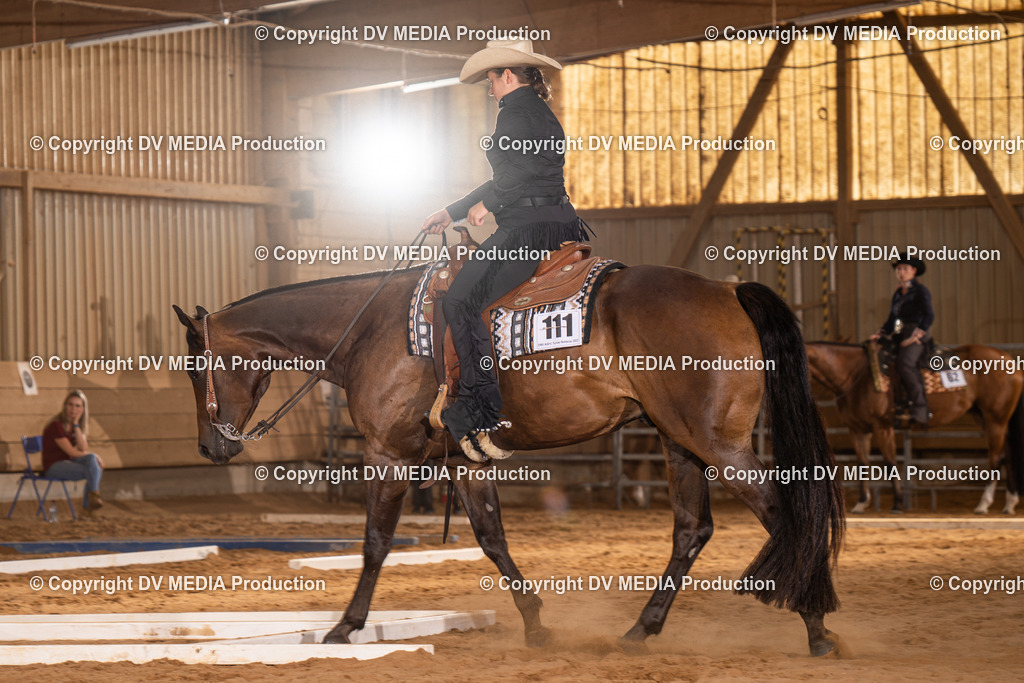 NID00625 | dv-media-shop - Realisiert mit Pictrs.com