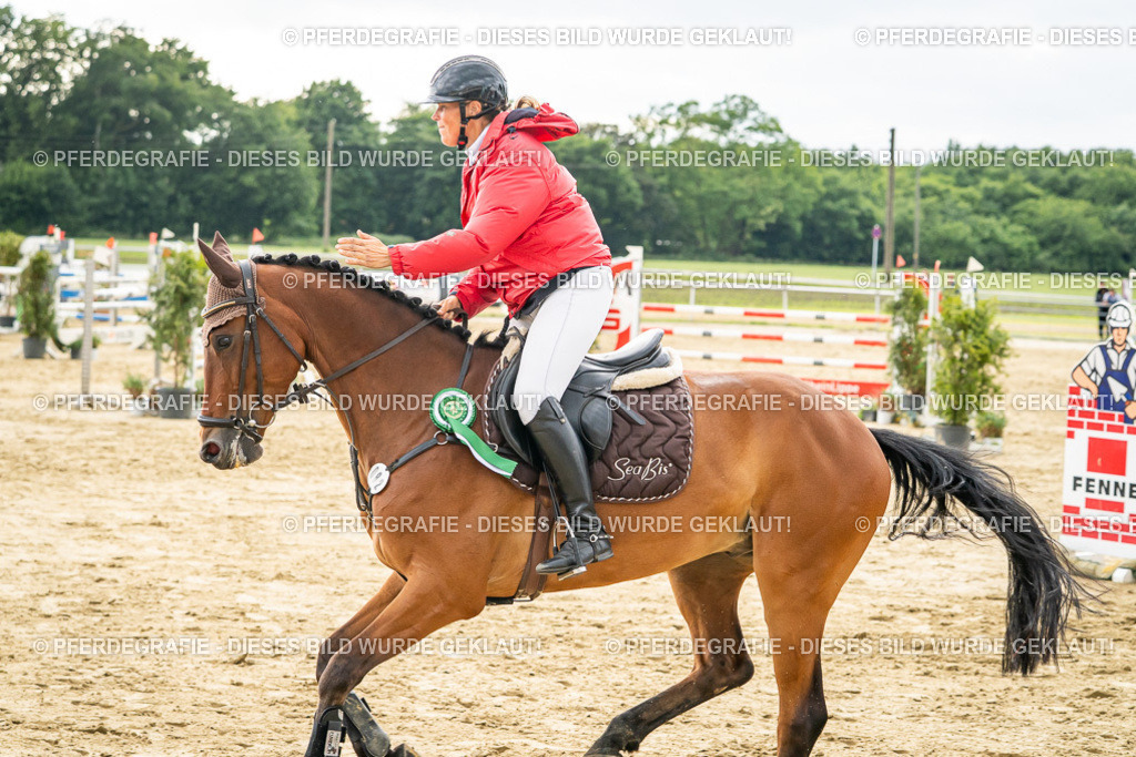 DSC07321 | Pferdegrafie