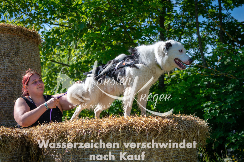 0941STR_5331 | kk-dogfotos