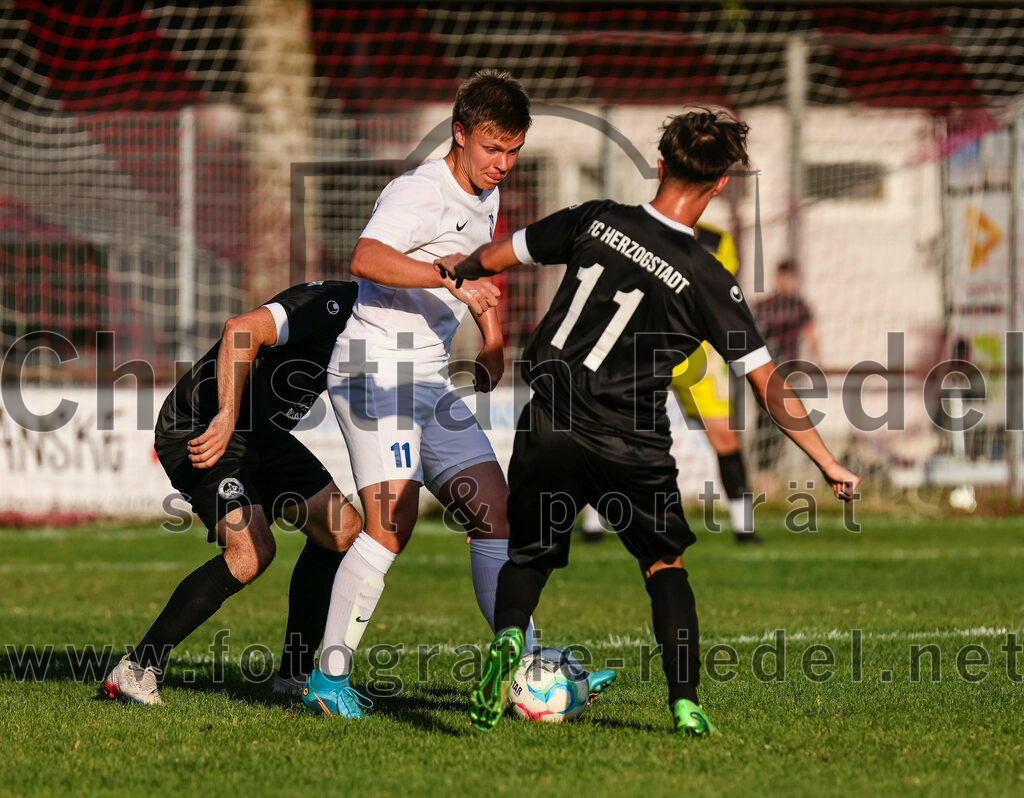 2023-07-18_087_FC_Herzogstadt_gegen_FC_Eitting | Erding, Deutschland, 18.07.2023:
Fußball, TOTO Pokal 2023 / 2024, 1. Spieltag, FC Herzogstadt gegen FC Eitting, Endergebnis: 2:4 n.E.

Christoph Greckl (FC Herzogstadt, #5), Lukas Treffler (FC Eitting, #11), Emil Schwarz (FC Herzogstadt, #11)

Foto: Christian Riedel / fotografie-riedel.net