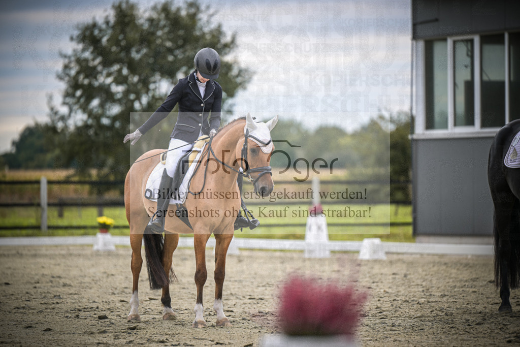 DOS_2257 | Entdecke hochwertige Reitturnierfotos von Foto Oger. Professionell, emotional und authentisch – jetzt Lieblingsmomente im Shop bestellen.Deutschlandweite Turnierfotografie. - Realisiert mit Pictrs.com