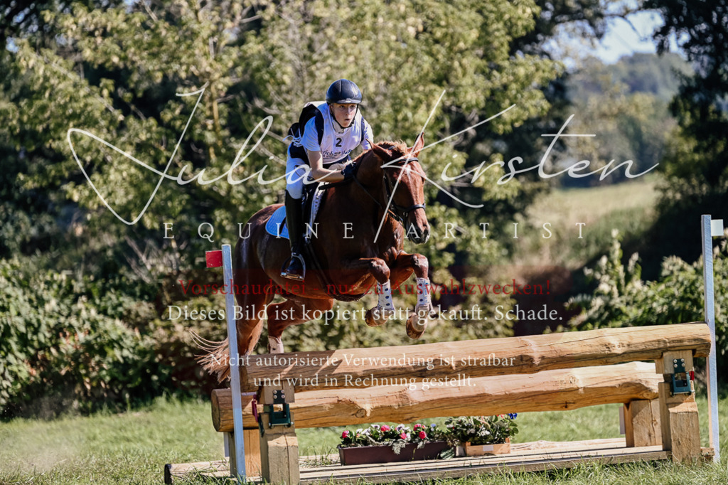 DSC_1363 | Pferde- und Turnierfotografie in Westsachsen. Pferdeportraits, Auftragszeichnungen und intuitive Kunst.