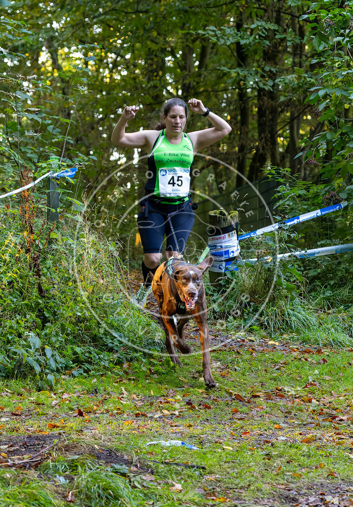 Pfotenfotografie_DV3A6899 | Hundefotografie, Tierfotograf, Pfotenfotografie, Fotoshooting Hund, Hunde Portrait, Hundesport, Hundeportraits, Heideshooting, Hunde, Sportfotograf, Hundefotograf, Turnierhundsport, THS,  - Realisiert mit Pictrs.com