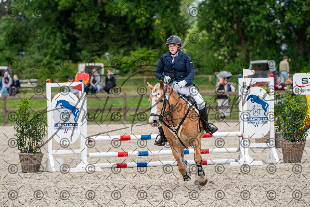 KPT_6340 | andre_photographic