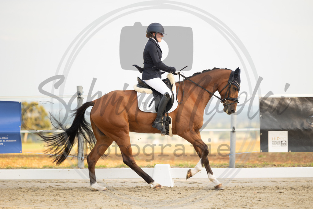 994A0113 | sabrinanicolaifotografie - Realisiert mit Pictrs.com