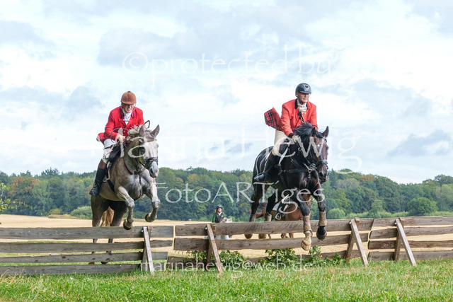 Jagd Knoop 26_MarinaHewigMCH02599 | Fotografie, FotoArt, PferdesportArt, Pferdesportfotografie, Landschaftsfotografie, Reisefotografie, Reise, Pferde - Realisiert mit Pictrs.com