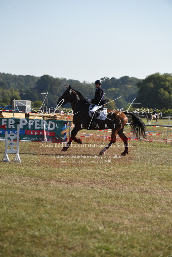 DSC_5782 | Pferde- und Turnierfotografie in Westsachsen. Pferdeportraits, Auftragszeichnungen und intuitive Kunst.