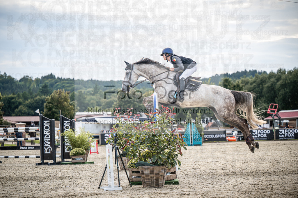 DOS_2762 | Entdecke hochwertige Reitturnierfotos von Foto Oger. Professionell, emotional und authentisch – jetzt Lieblingsmomente im Shop bestellen.Deutschlandweite Turnierfotografie. - Realisiert mit Pictrs.com