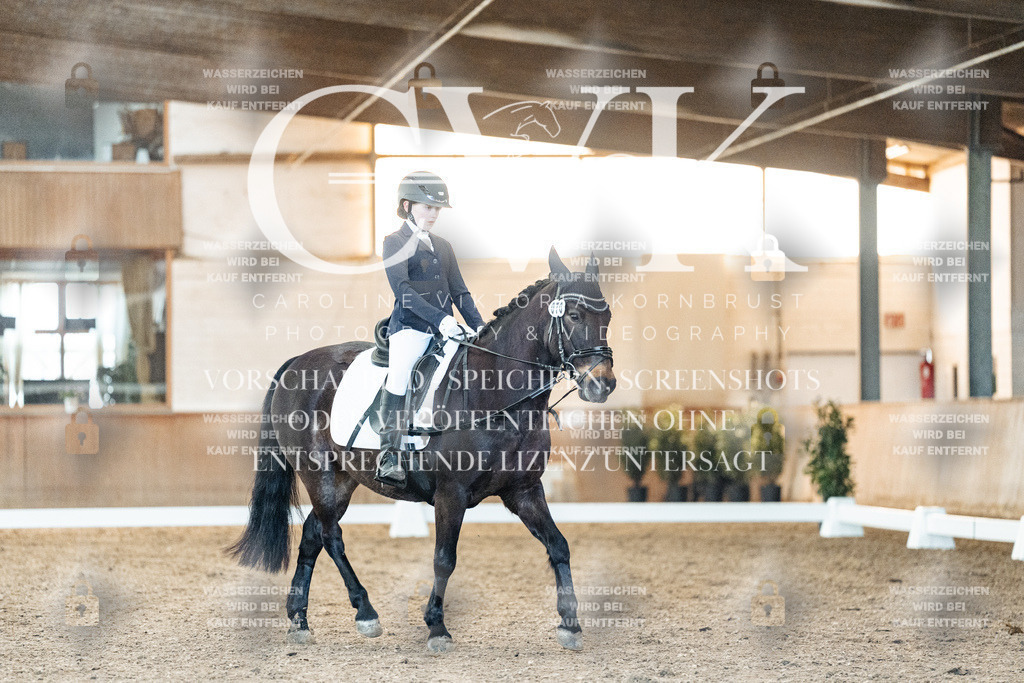 CK906693 | Turnierfotografie Pferdefotografie Trier Rheinland-Pfalz Pferdesport Reitsport Tierfotografie Sportfotografie Pferdevideo Pferdevideografie Equestrianvideography equestrianphotography  - Realisiert mit Pictrs.com