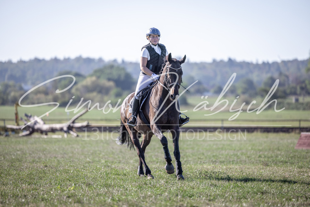 20260906-_3LI1850 | Tierfotografie Pferde, Hunde, Katzen, Haustiere.
Turnierfotografie Reitturniere, Reiten, Springreiten, Dressur in Hanau, dem Main-Kinzig-Kreis und dem Rhein-Main- Gebiet um Frankfurt