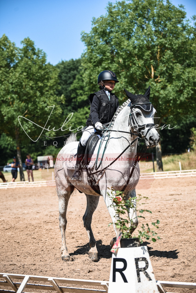 DSC_3130 | Pferde- und Turnierfotografie in Westsachsen. Pferdeportraits, Auftragszeichnungen und intuitive Kunst.