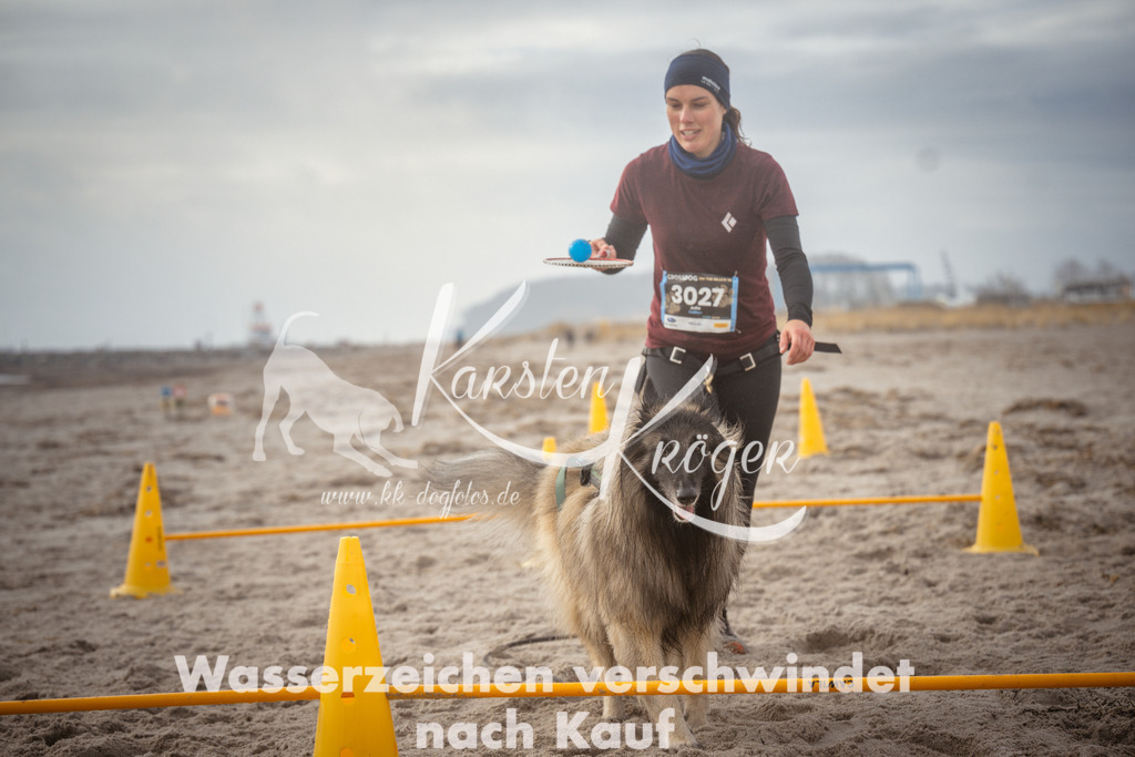 1116_ZZ97540 | kk-dogfotos