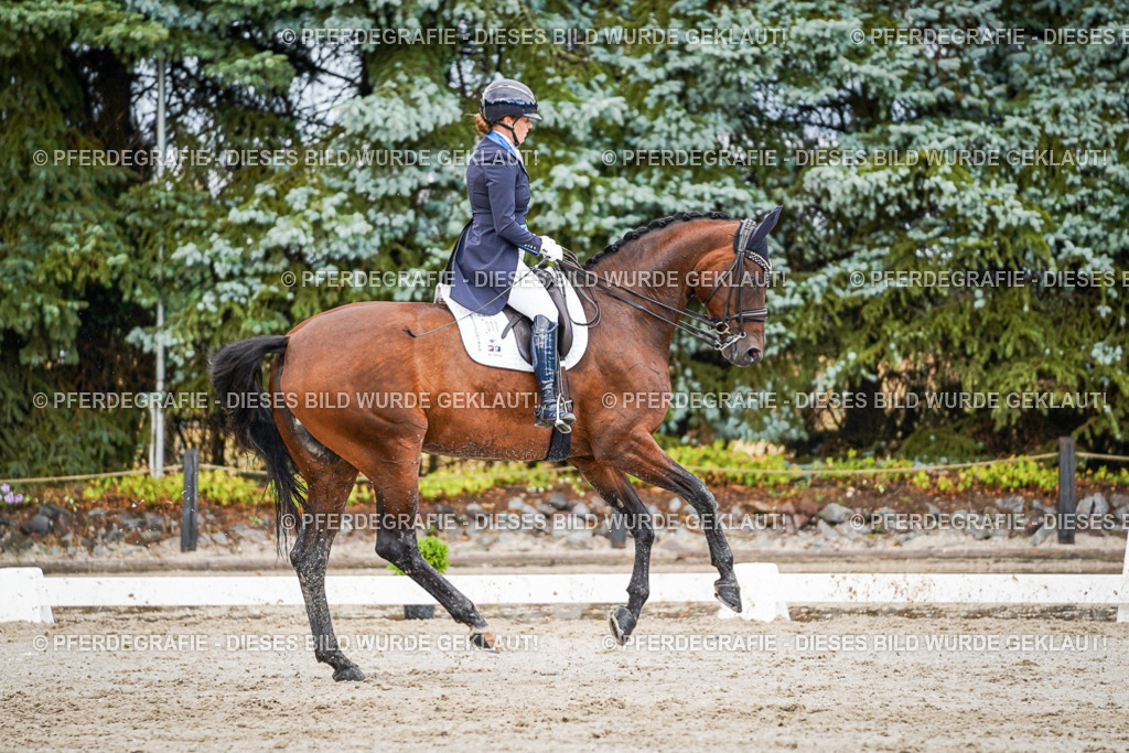 DSC00131 | Pferdegrafie