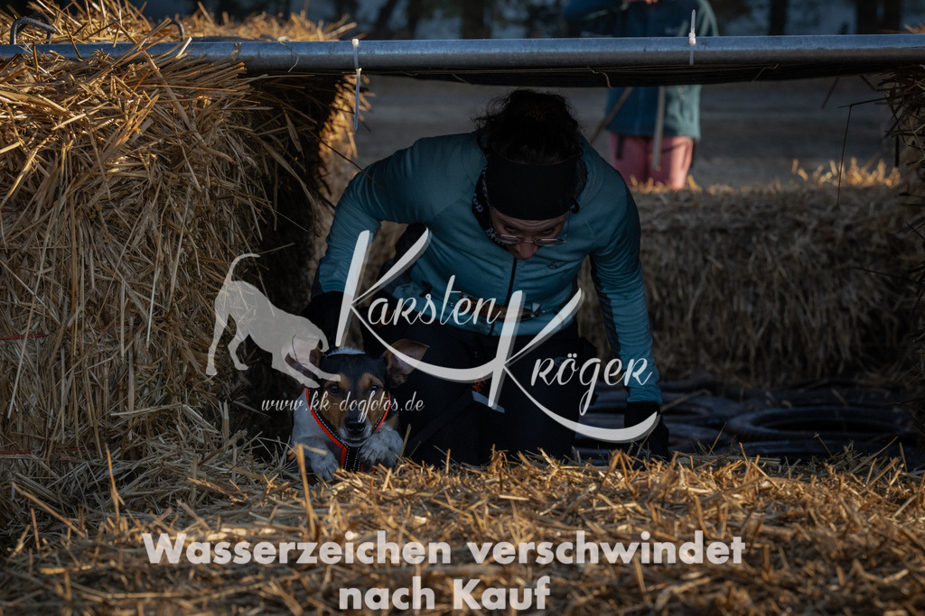 0911_ZZ91868 | kk-dogfotos