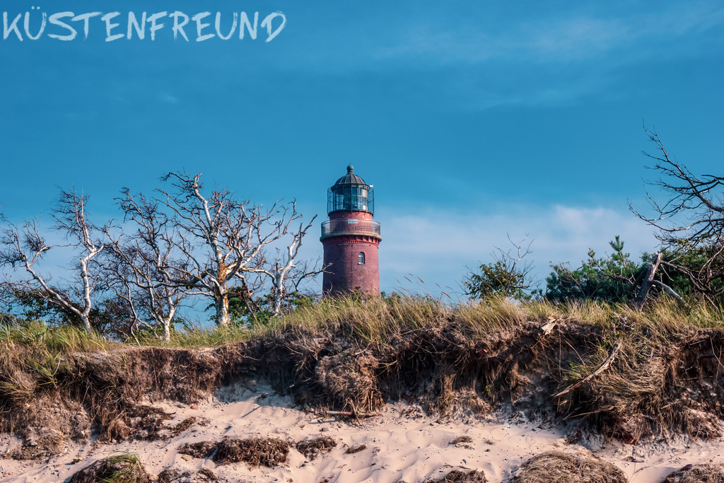 Darßer Leuchtturm // Karge Bäume | Entdecke deine Lieblingslandschaft von der Küste – auf Ostsee Leinwand, Nordsee Leinwand, Alu Dibond oder Acrylglas, passend für jeden Geschmack und Raum.