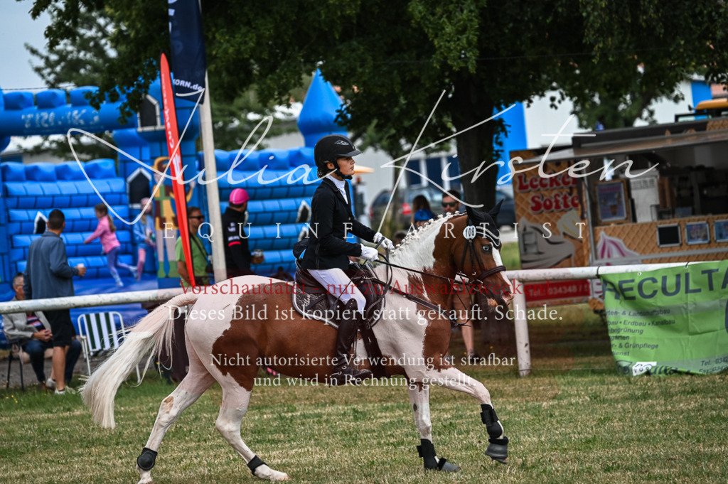 DSC_8562 | Pferde- und Turnierfotografie in Westsachsen. Pferdeportraits, Auftragszeichnungen und intuitive Kunst.