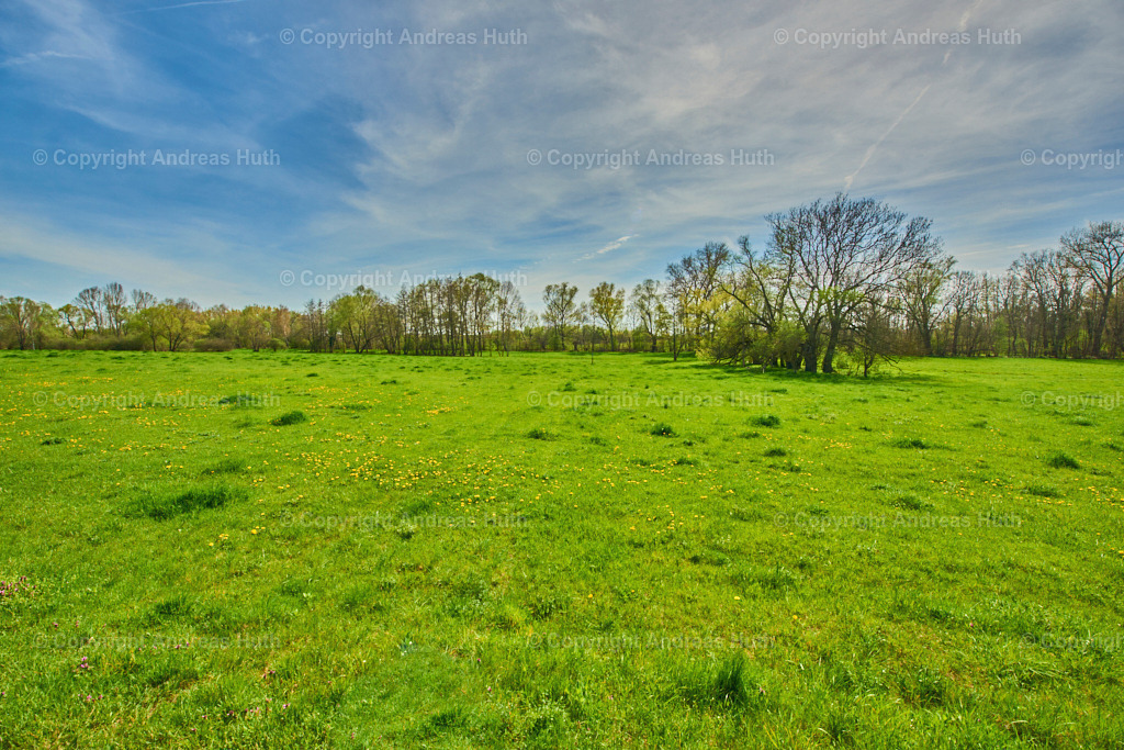 Am Elsterfloßgraben zwischen Nempitz_ Thalschütz und Rampitz 02 | Bedeutsame Landschaften Deutschlands - Realisiert mit Pictrs.com