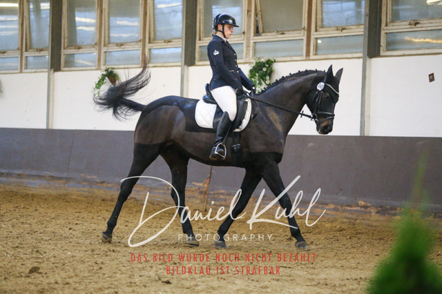 IMG_8152 | Turniersportfotografie; Pferdefotografie; Dressurfotografie