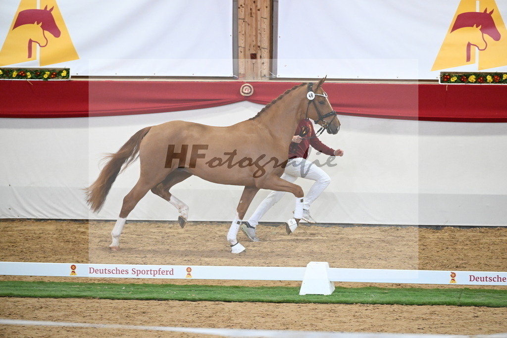 Kat.-Nr. 48 v. De Niro Gold_Schulze Averdiek_2250124 | hf-fotografie - Realisiert mit Pictrs.com