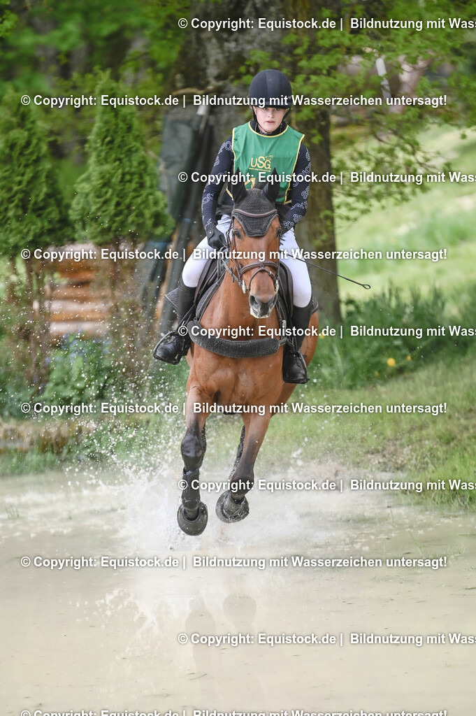 20250517_CCI1_Gelände_0539 | Foto: Thomas Hartig