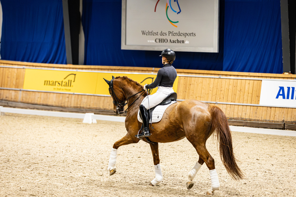 126A8909 | jasminmetznerfotografie