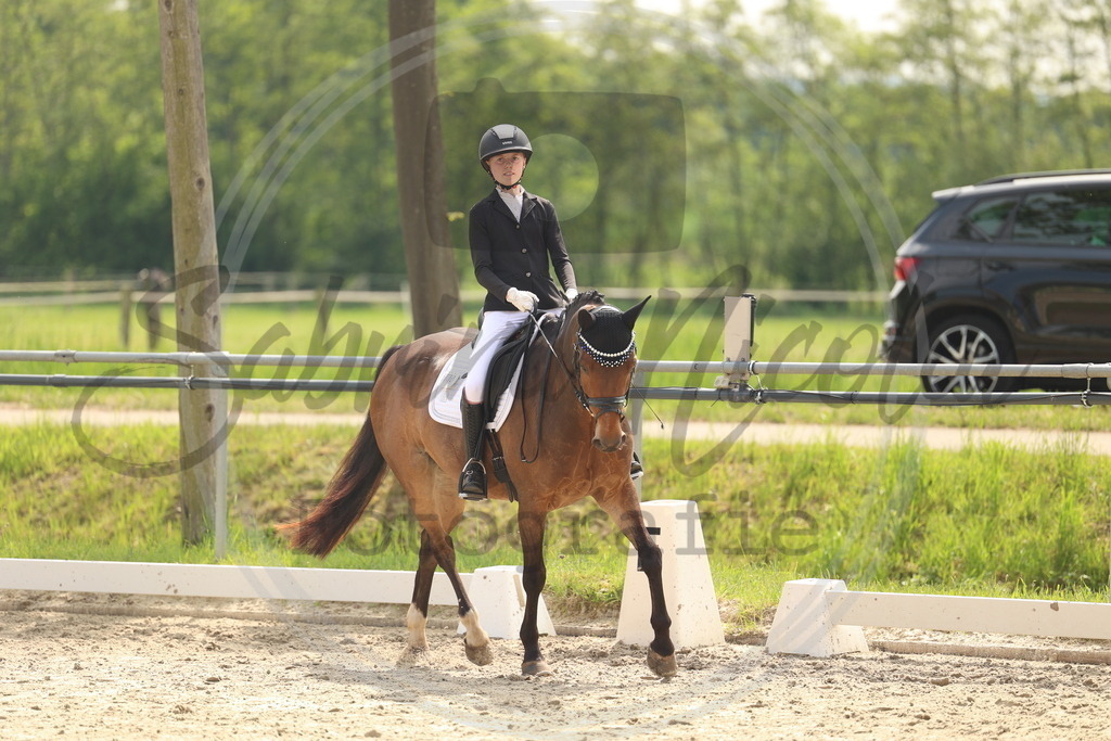 994A6848 | sabrinanicolaifotografie - Realisiert mit Pictrs.com