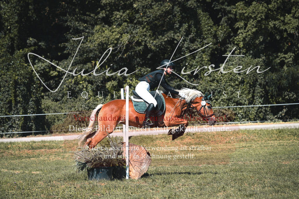 DSC_8080 | Pferde- und Turnierfotografie in Westsachsen. Pferdeportraits, Auftragszeichnungen und intuitive Kunst.