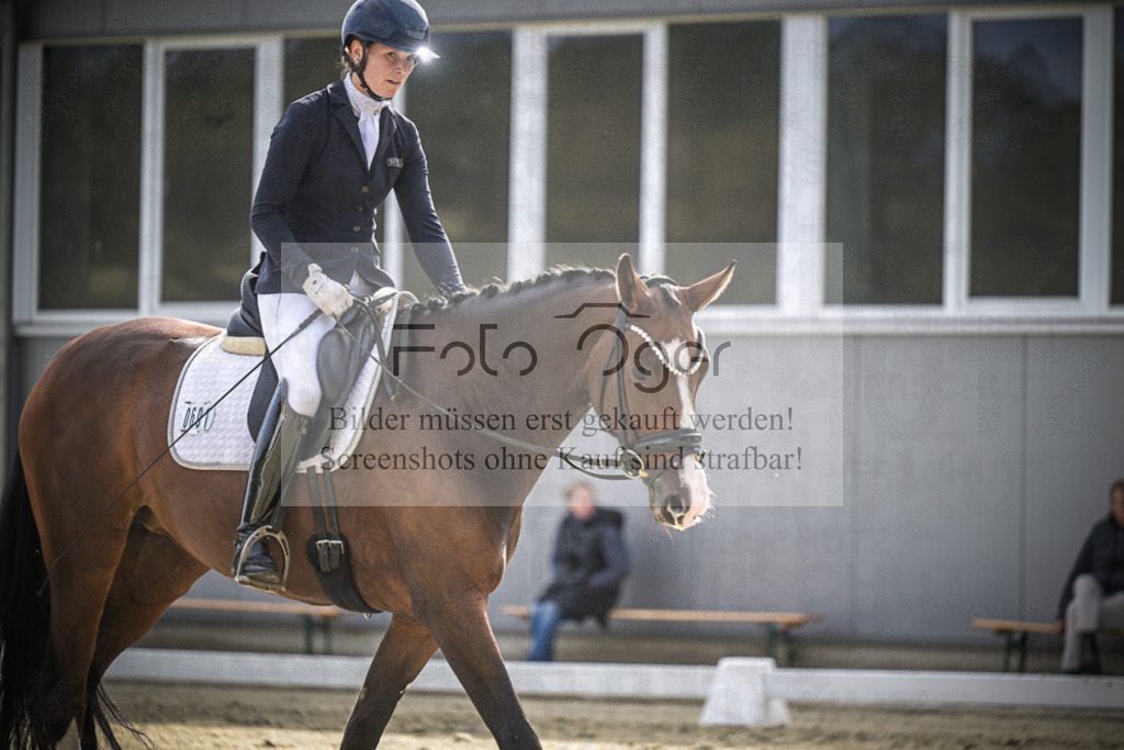 DOS_2428 | Entdecke hochwertige Reitturnierfotos von Foto Oger. Professionell, emotional und authentisch – jetzt Lieblingsmomente im Shop bestellen.Deutschlandweite Turnierfotografie. - Realisiert mit Pictrs.com