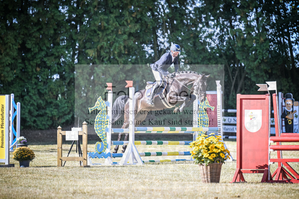 DOS_0205 | Entdecke hochwertige Reitturnierfotos von Foto Oger. Professionell, emotional und authentisch – jetzt Lieblingsmomente im Shop bestellen.Deutschlandweite Turnierfotografie. - Realisiert mit Pictrs.com