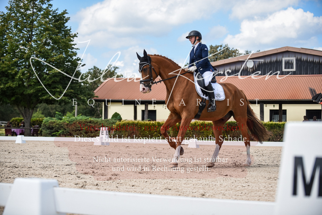 DSC_9232 | Pferde- und Turnierfotografie in Westsachsen. Pferdeportraits, Auftragszeichnungen und intuitive Kunst.