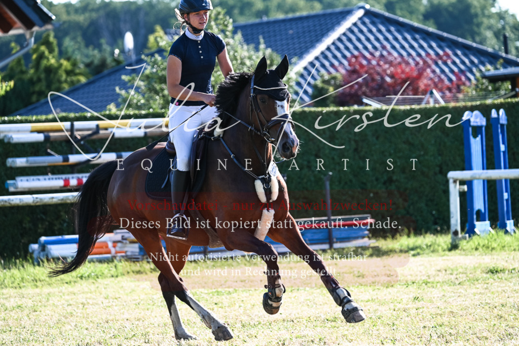 DSC_2883 | Pferde- und Turnierfotografie in Westsachsen. Pferdeportraits, Auftragszeichnungen und intuitive Kunst.