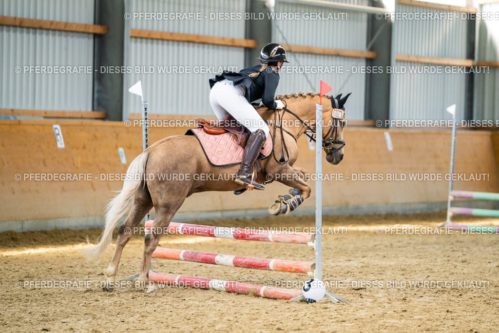 DSC01265 | Pferdegrafie